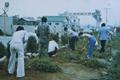 1970년도 영암읍 입구 새마을운동 도로 정화작업 썸네일 이미지
