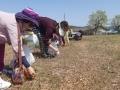 인량리 전통마을 고사리꺾기 농산물수확체험활동 썸네일 이미지