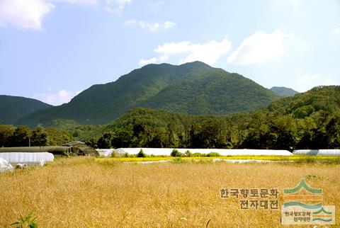 대표시청각 이미지