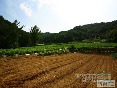 대표시청각 이미지