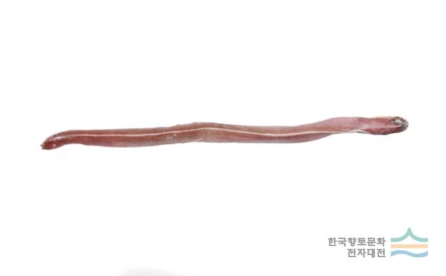 대표시청각 이미지