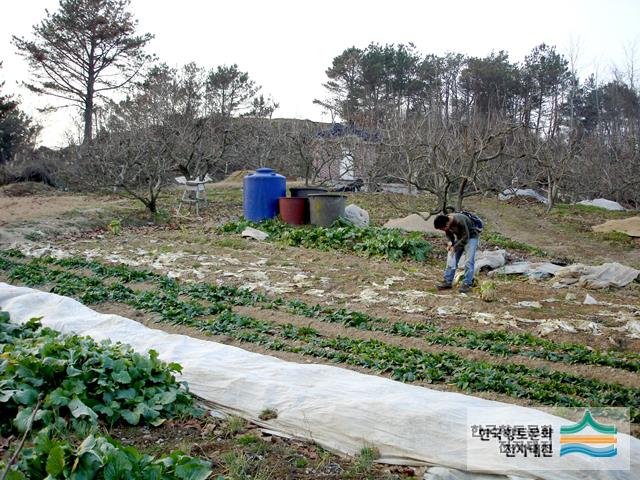 대표시청각 이미지