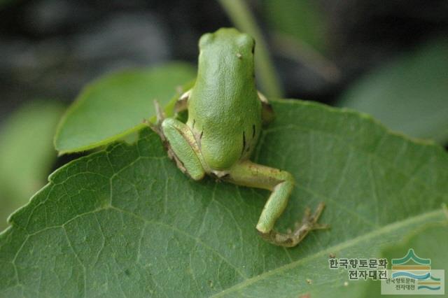 대표시청각 이미지