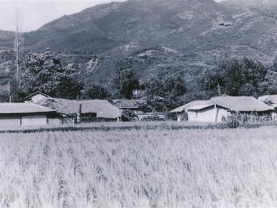 읍하리 읍창 터 전경[1982년 수몰전] 썸네일 이미지