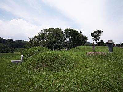 통정리 고인돌군 전경 썸네일 이미지