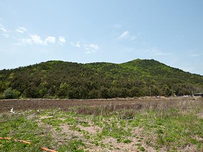 황금산 썸네일 이미지