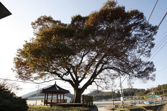 대표시청각 이미지