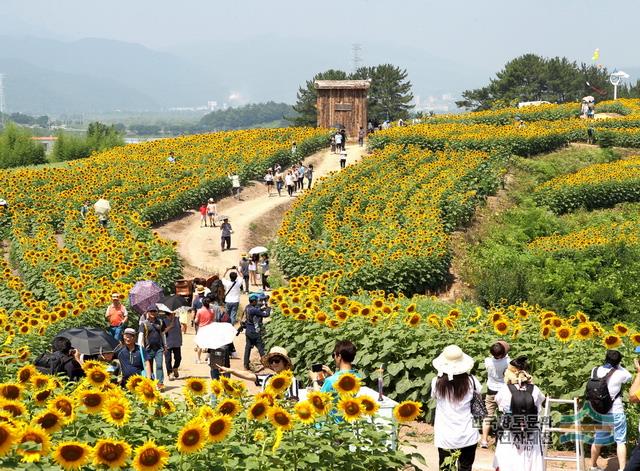 대표시청각 이미지