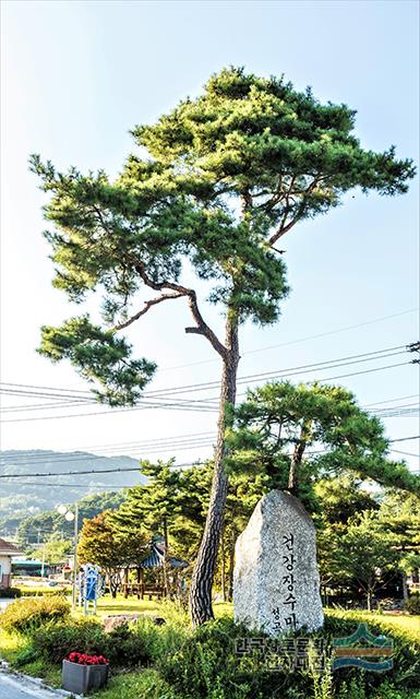 대표시청각 이미지