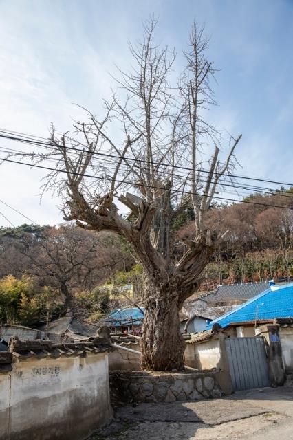 대표시청각 이미지